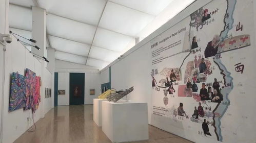 視覺關注 青春正好,國內(nèi)各大美術院校畢業(yè)展來襲