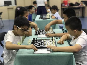 2019年泰達(dá)文化藝術(shù)中心秋季班報(bào)名開始拉